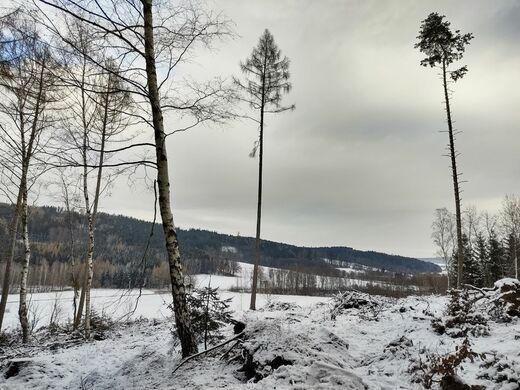 IMG_20211227_134238513_HDR.jpg