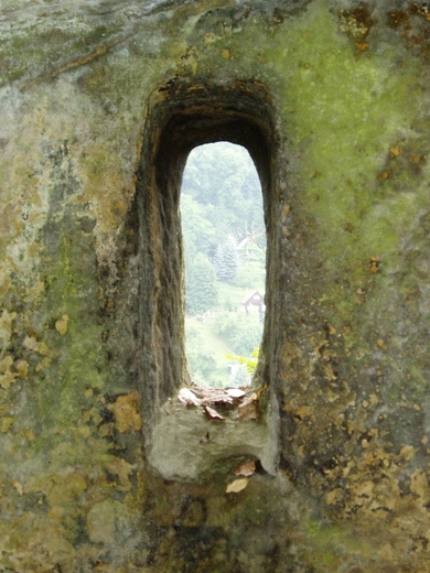 P1010869.JPG
